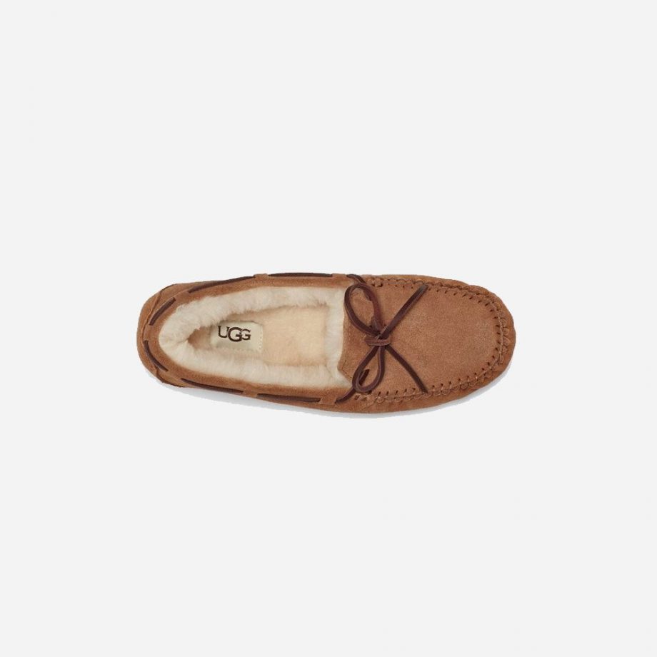 Dakota - Chestnut