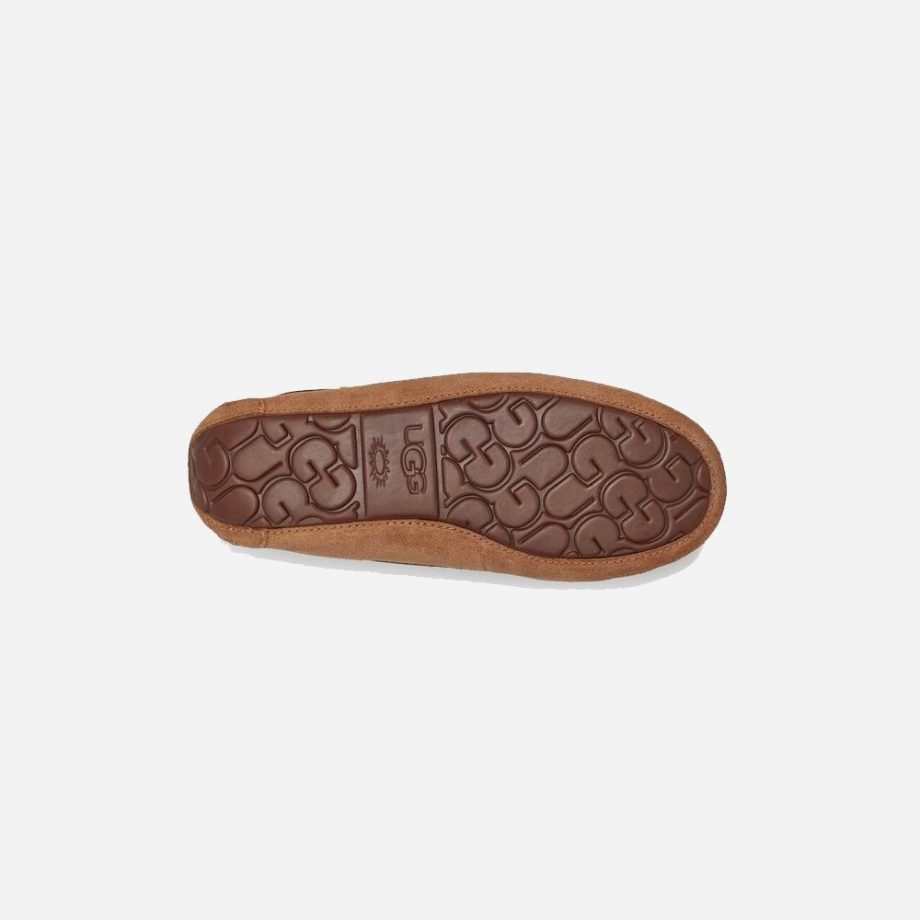 Dakota - Chestnut