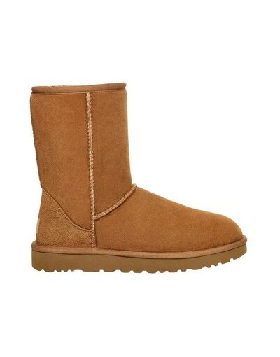 Classic short - Chestnut