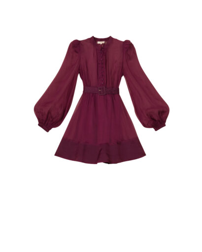 Organza mini dress - Burgundy