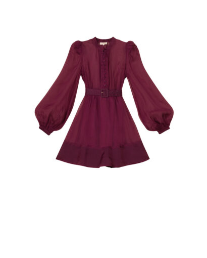 Organza mini dress - Burgundy