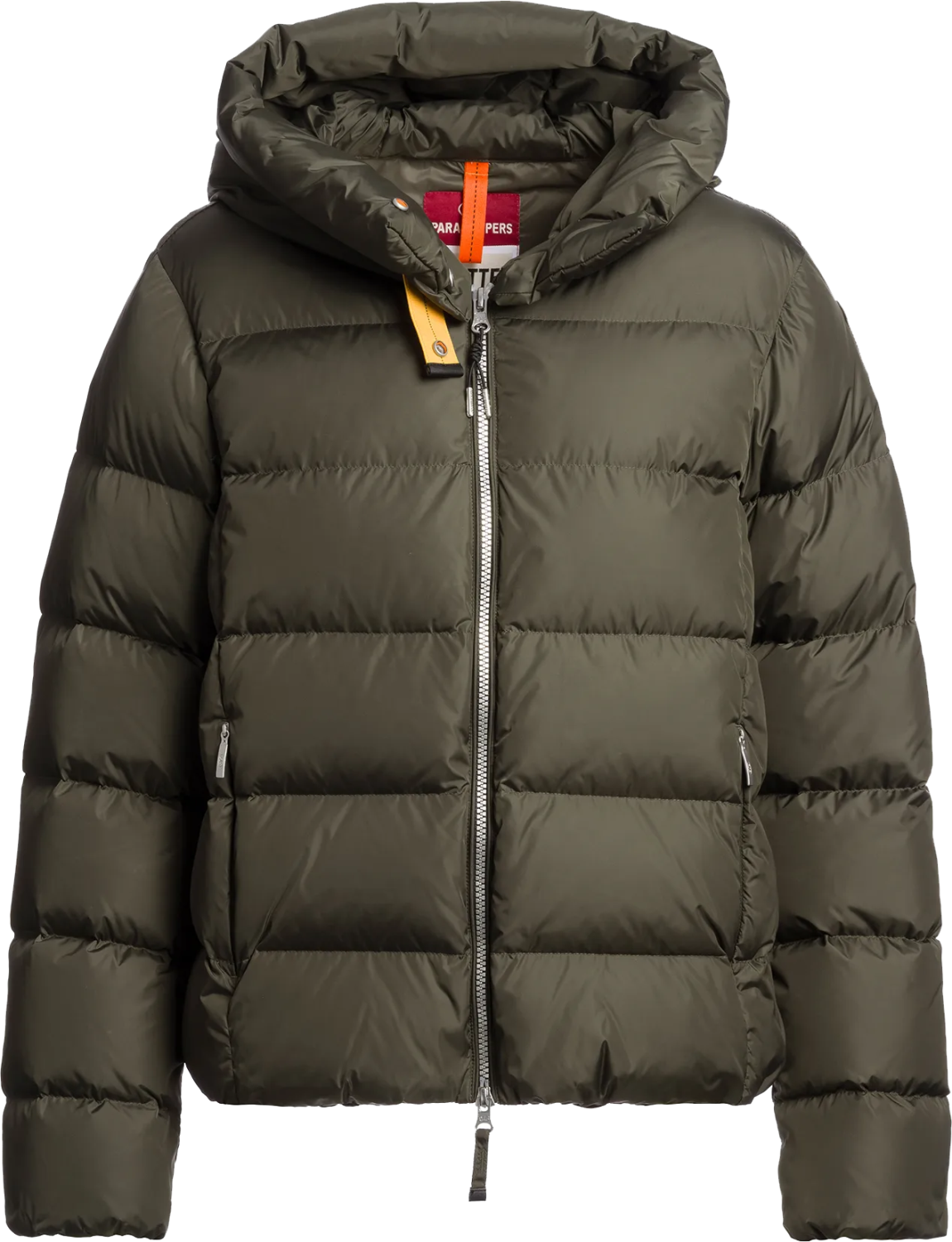 Jinny – Taggia Olive
