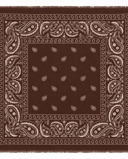 Soft Paisley scarf - Choco